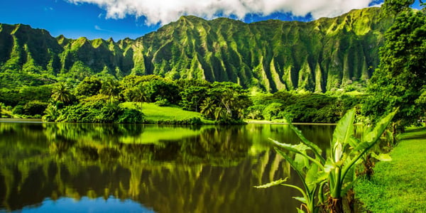 Ho'omaluhia Botanical Garden
