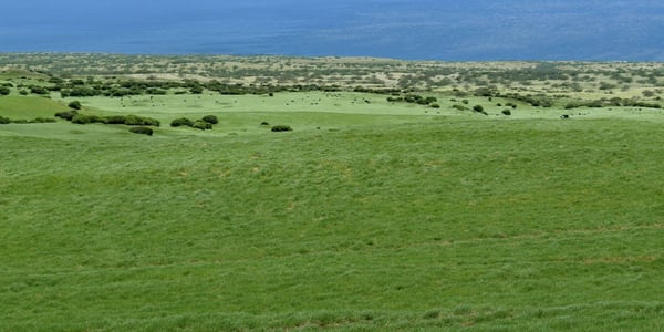 Parker Ranch