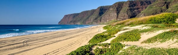 Polihale Beach