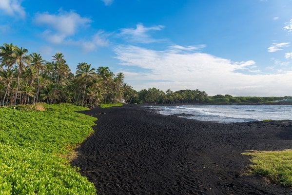 Black lava sand and palms at Punaluʻu Beach, Big Island