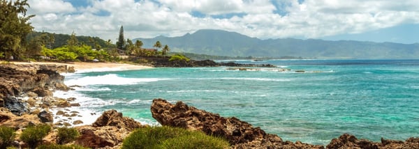 Pūpūkea Beach Park (Sharks Cove)