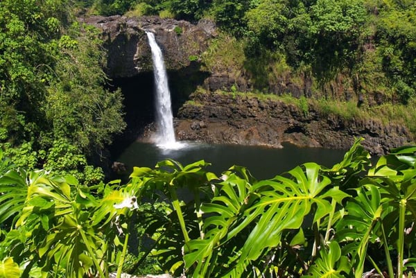 Rainbow Falls dropping into a pool in Hilo, Big Island