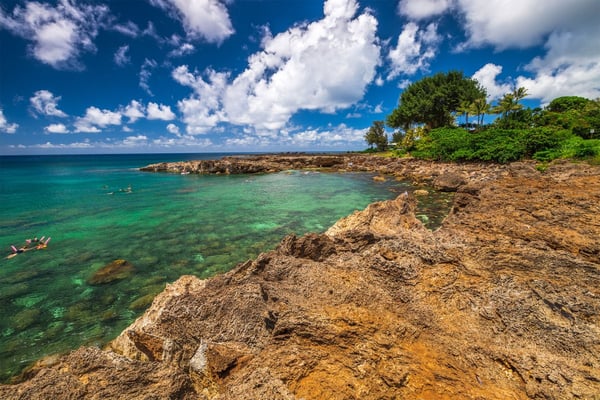 Sharks Cove