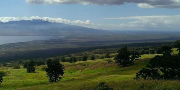 View down the Upcountry Maui slopes across the central valley to the West Maui Mountains