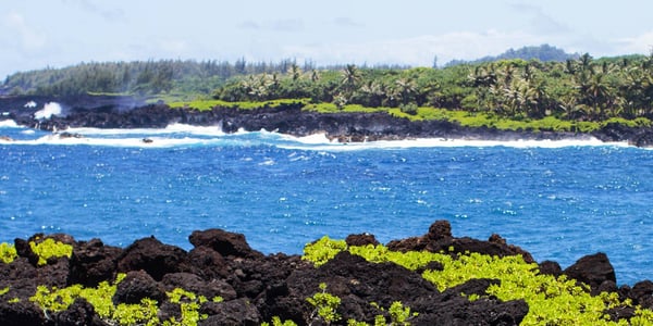 Waianapanapa Coastal Trail