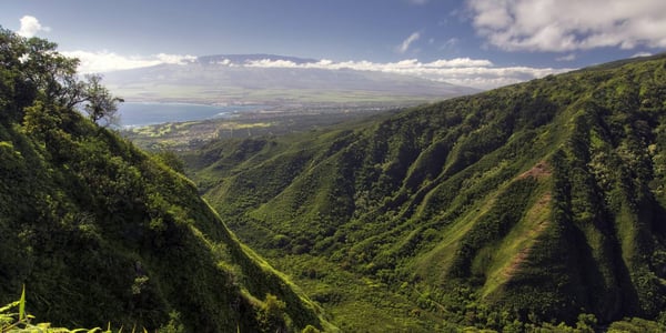 Waihee Ridge Trail