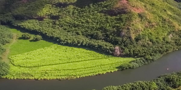 Wailua River