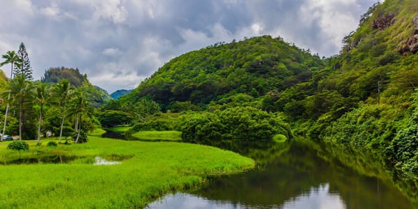 Waimea Valley