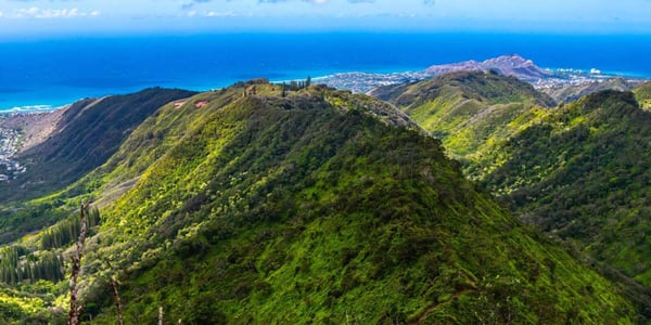 Wiliwilinui Ridge Trail