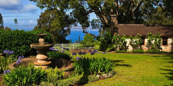 MauiWine