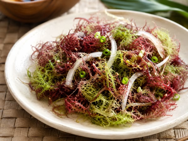 Watercolor illustration of ogo salad
