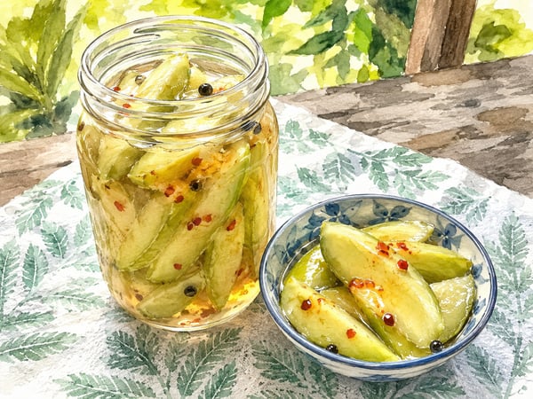 Watercolor illustration of Hawaii pickled mango spears in a jar