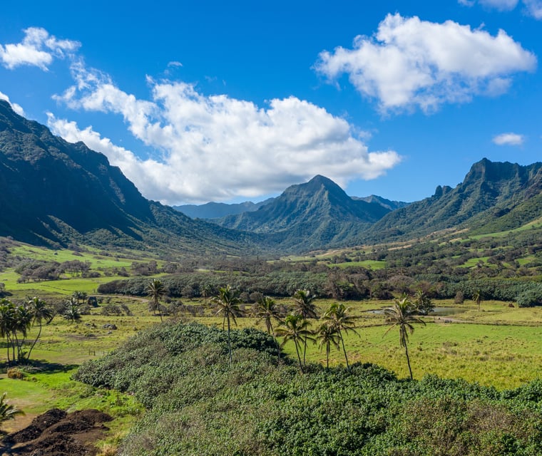 Green Koʻolau valley walls in Kaʻaʻawa on Oʻahu