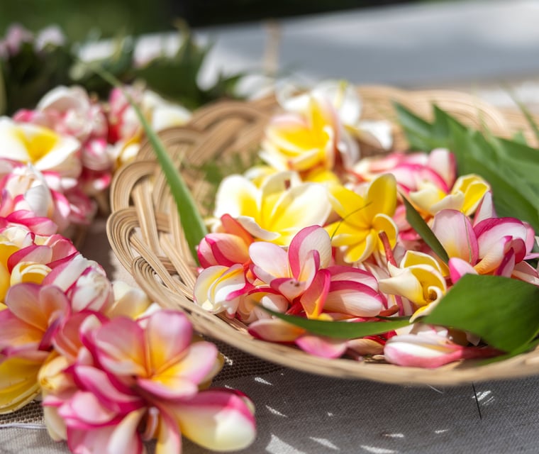 Respectful traveler in Hawaiʻi practicing pono travel