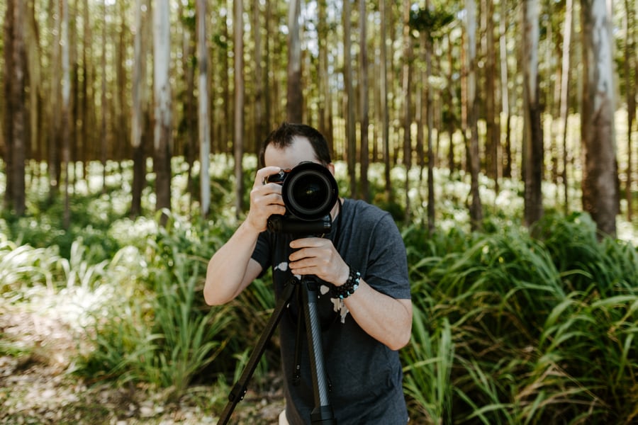A phone camera identifying Hawaii plants, birds, and reef life