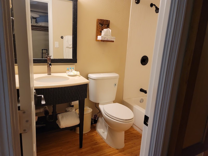 Bamboo Waikiki Hotel photo 4