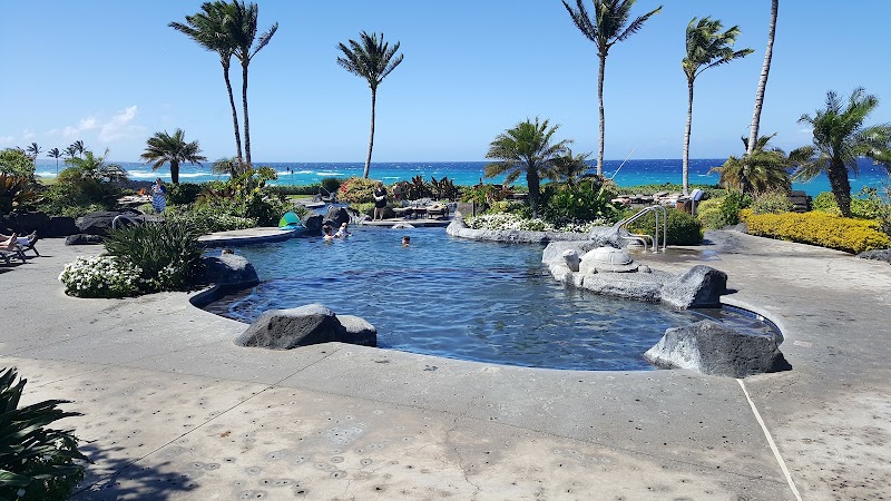 Castle Halii Kai at Waikoloa photo 3