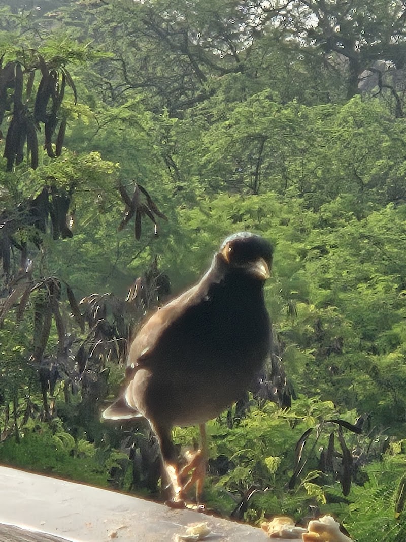 Club Wyndham Kona Hawaiian Resort photo 5
