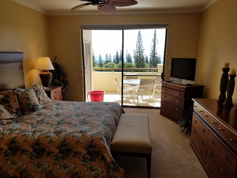 Kapalua Villas Maui photo 2