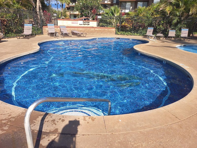 Kauhale Makai photo 3