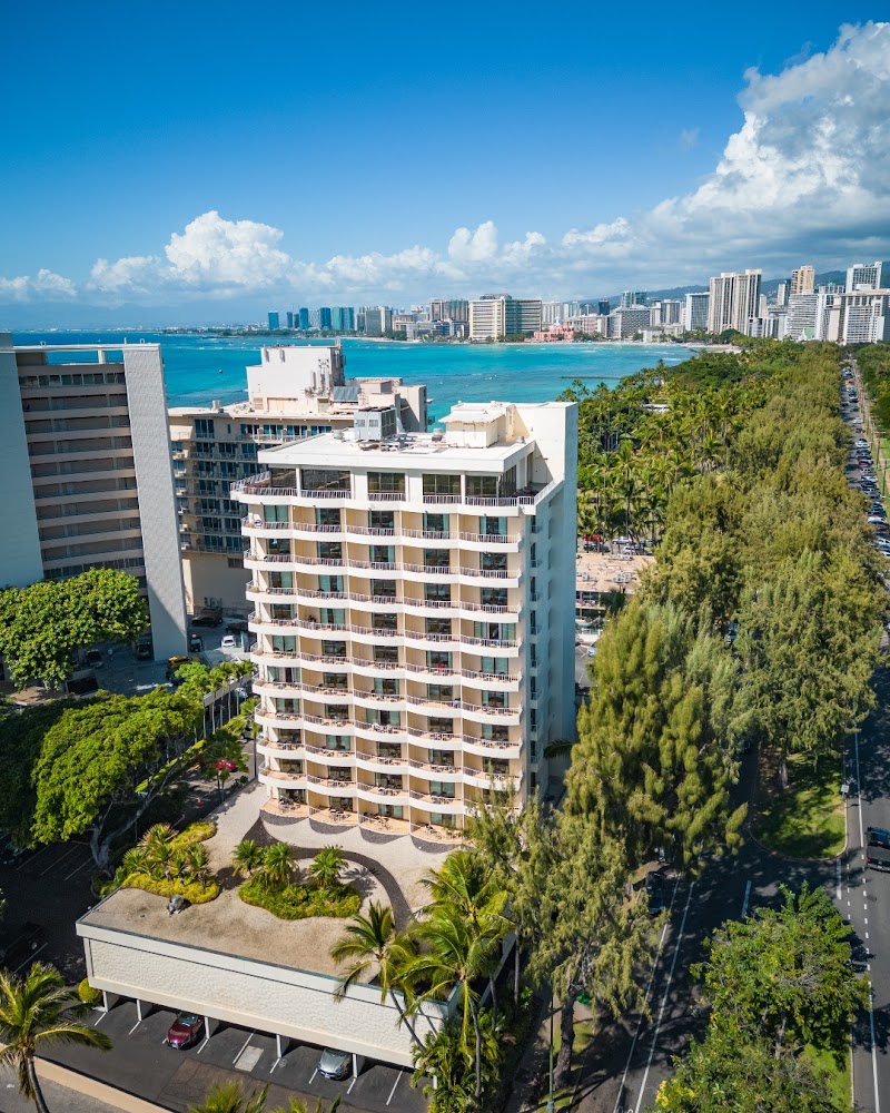 Lotus Honolulu at Diamond Head