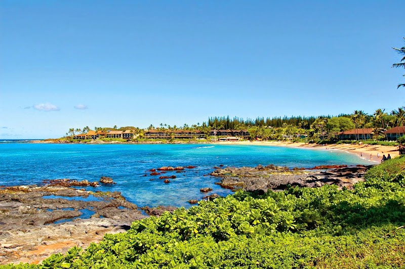 Napili Shores Maui by Outrigger photo 5