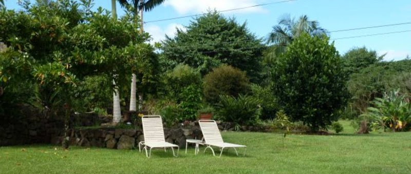 Old Hawaiian B&B photo 5