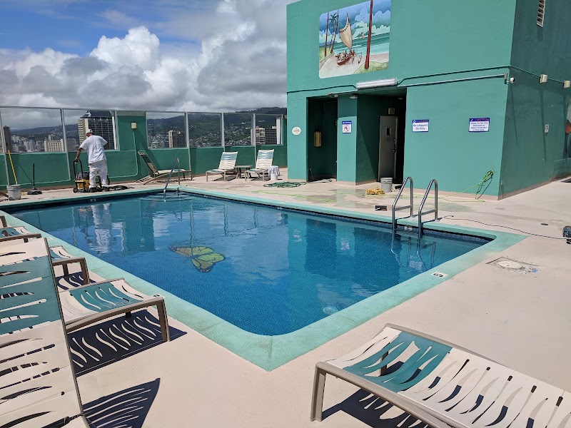 Pacific Monarch photo 3