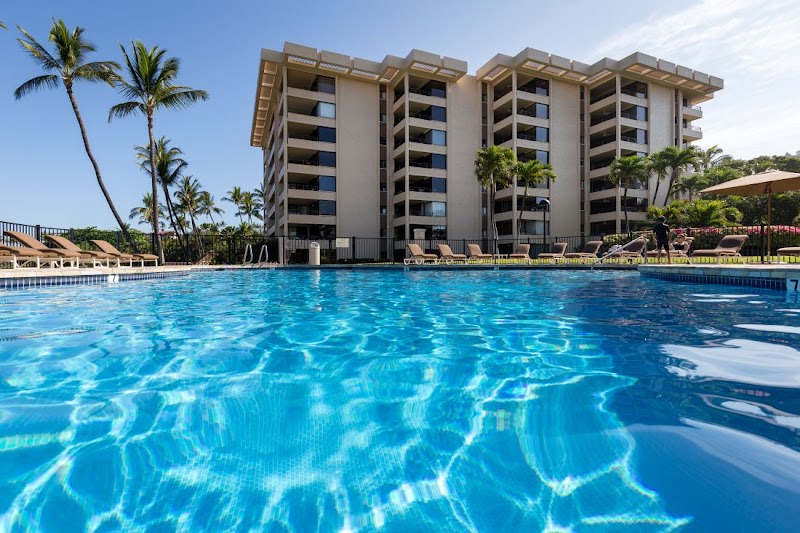 Polo Beach Club, A Destination Residence photo 4