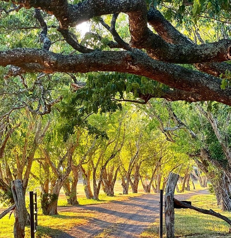 Puakea Ranch photo 5