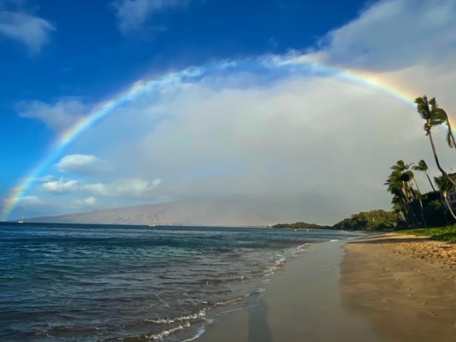 Sheraton Maui Resort & Spa photo 4