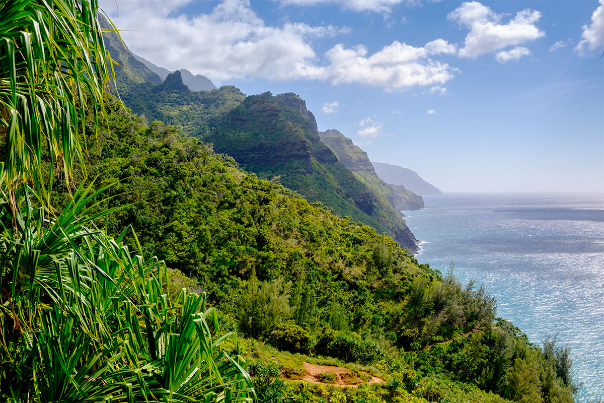 Kauai Hiking Tours Tile Image