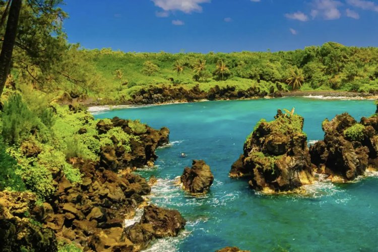 Road to Hana Tour Image