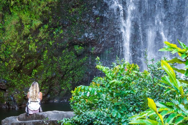 Are Visitors Welcome on Maui in 2026 Tile Image