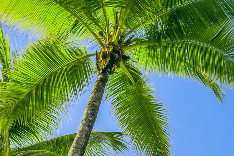 Kauai Events November