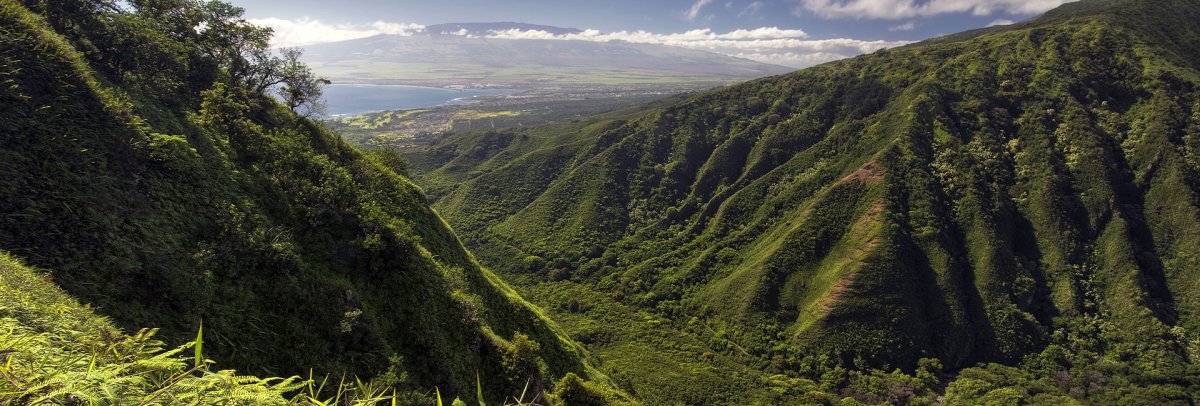 5 Day Itinerary Suggestions & Resources | Maui Hawaii