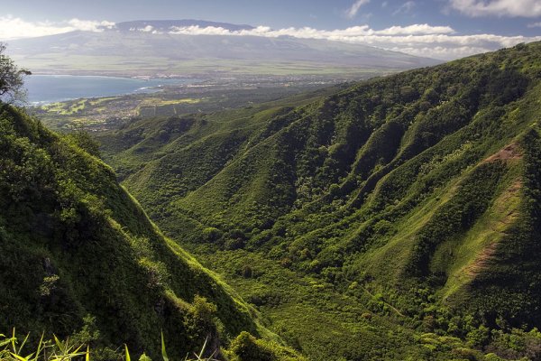 5 Day Maui Itinerary Tile Image