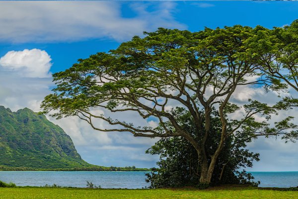 7 Day Oahu Itinerary Tile Image