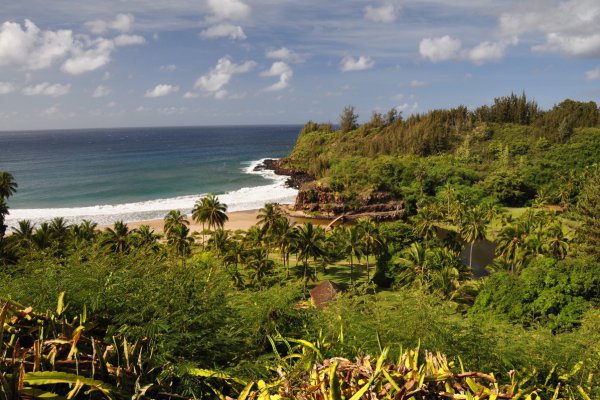 National Tropical Botanical Garden Tile Image