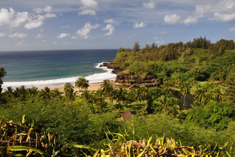 National Tropical Botanical Garden Image