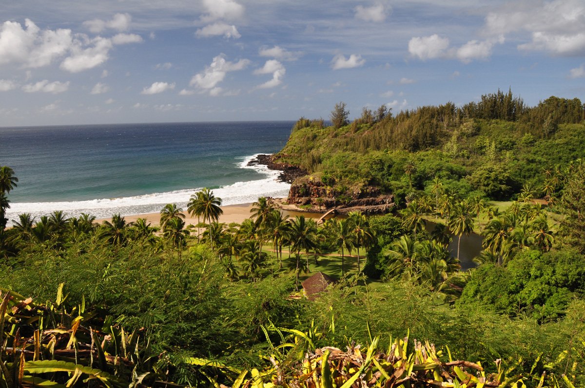 National Tropical Botanical Garden