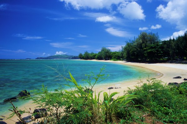 Anini Beach Tile Image