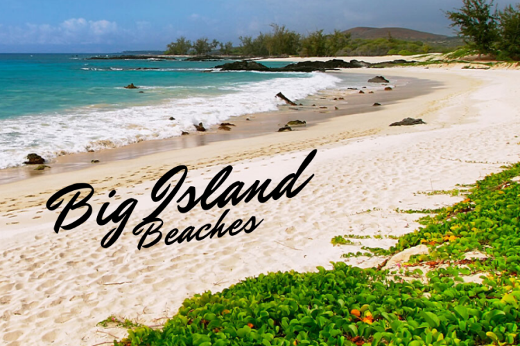 Big Island Beaches Image
