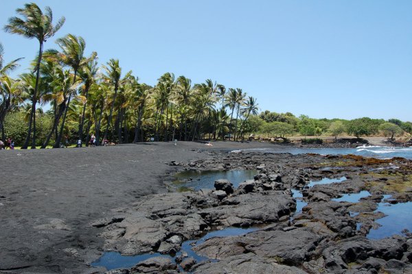 Punaluu Black Sand Beach Tile Image