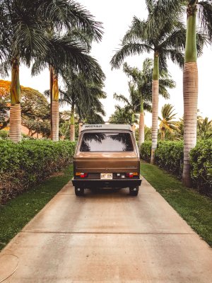 Car on the road with palm trees on the side to represent a road trip adventure in Maui Hawaii