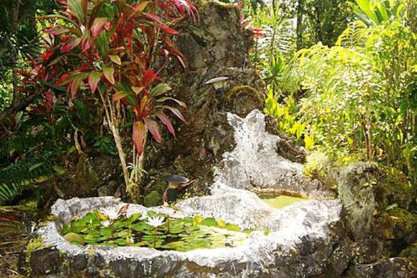 Coconut Cottage Bed & Breakfast Tile Image