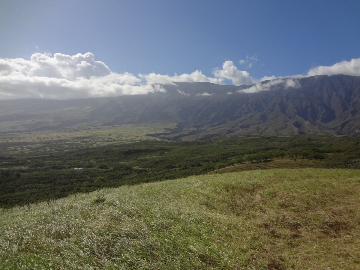 Maui Over and Under Rated | Hawaii Travel Guide