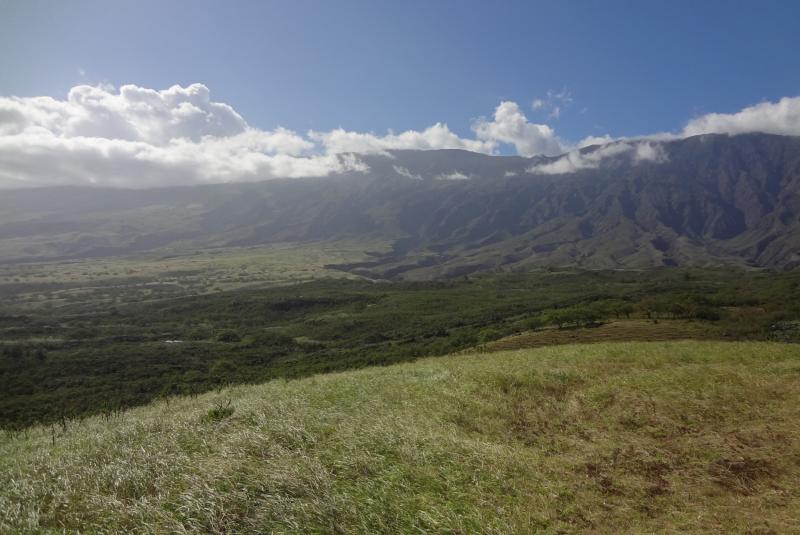 Maui Over and Under Rated