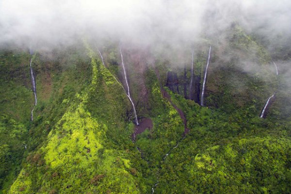 Kauai Deluxe Waterfall Safari Tile Image