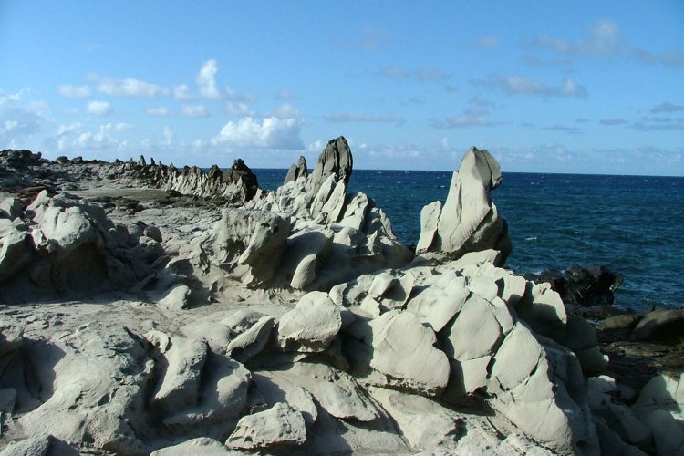 Dragon’s Teeth Image